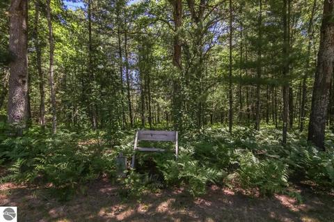 20293 Douglas Rd, Interlochen, MI 49643 photo 79