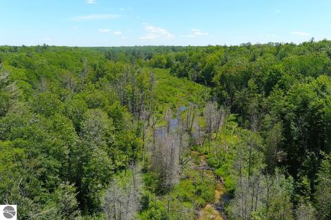 20293 Douglas Rd, Interlochen, MI 49643 photo 84