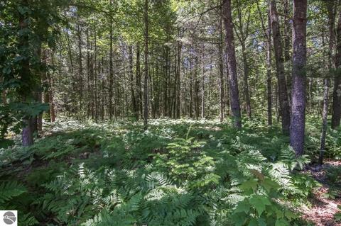 20293 Douglas Rd, Interlochen, MI 49643 photo 78