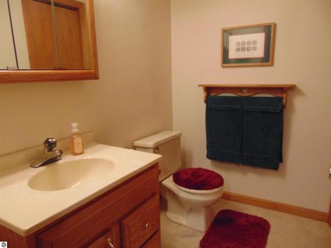 355 Norton Gibbs Dr, Ithaca, MI 48847 photo 33