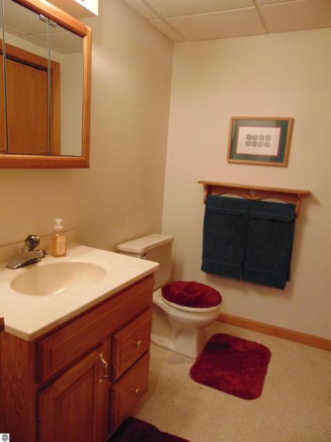 355 Norton Gibbs Dr, Ithaca, MI 48847 photo 32