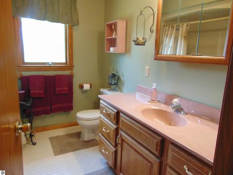 355 Norton Gibbs Dr, Ithaca, MI 48847 photo 39