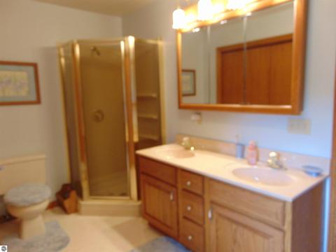 355 Norton Gibbs Dr, Ithaca, MI 48847 photo 43