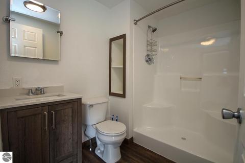 8781 E Baseline Rd, Mount Pleasant, MI 48858 photo 17