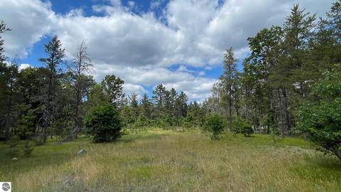 513 E M 72, Grayling, MI 49738 photo 6