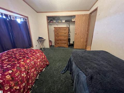 324 Pine St, Manton, MI 49663 photo 9