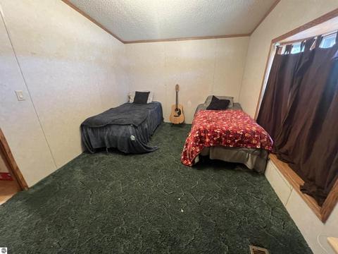 324 Pine St, Manton, MI 49663 photo 8