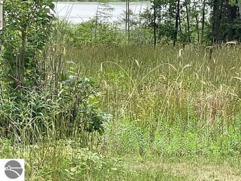 23515 30th Ave, Sears, MI 49679 photo 30