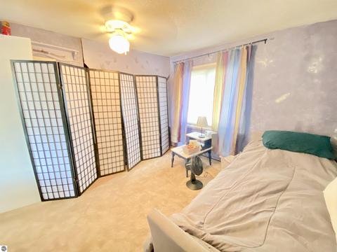 214 N Jeffery Ave, Ithaca, MI 48847 photo 21
