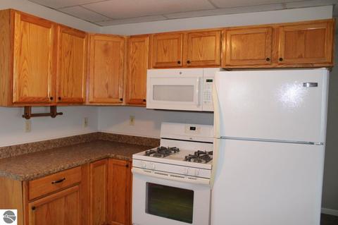 616 Elder Rd, Mancelona, MI 49659 photo 16