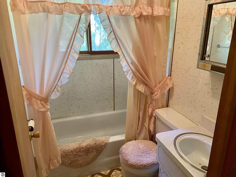 476 Everett Trl, Hale, MI 48739 photo 17