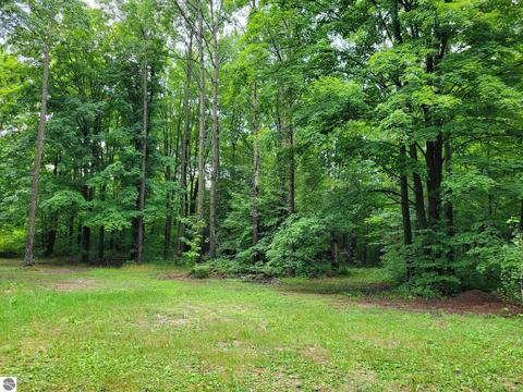 10896 Maple Rd, Mesick, MI 49668 photo 20