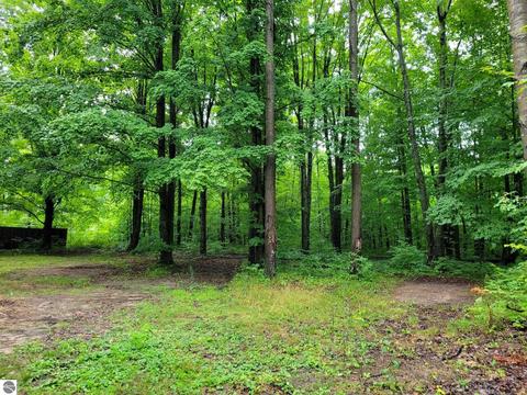 10896 Maple Rd, Mesick, MI 49668 photo 19