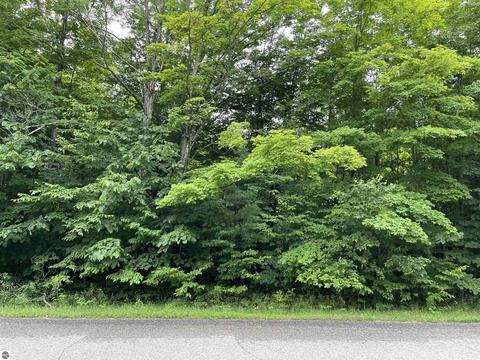 3655 W Babbitt Peterson Rd, Frederic, MI 49733 photo 4