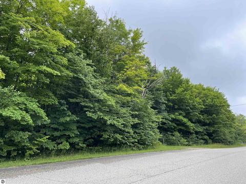 3655 W Babbitt Peterson Rd, Frederic, MI 49733 photo 3