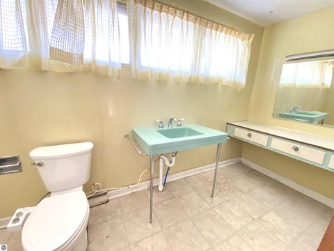 212 E Tyrell St, Saint Louis, MI 48880 photo 12