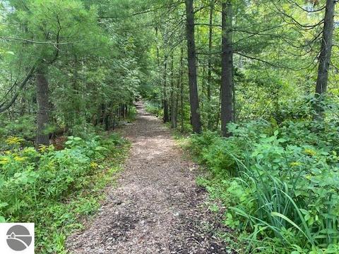 10107 Harmony Dr, Interlochen, MI 49643 photo 50