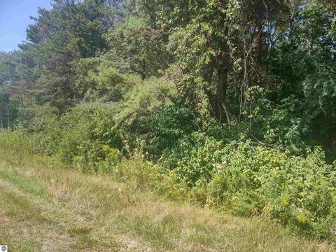 N/a E Huron, Au Gres, MI 48703