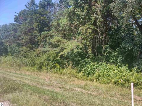 N/a E Huron, Au Gres, MI 48703 photo 5