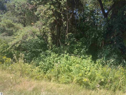 N/a E Huron, Au Gres, MI 48703 photo 3