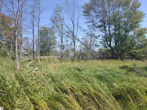 N/a Swenson Road, Au Gres, MI 48703 photo 4