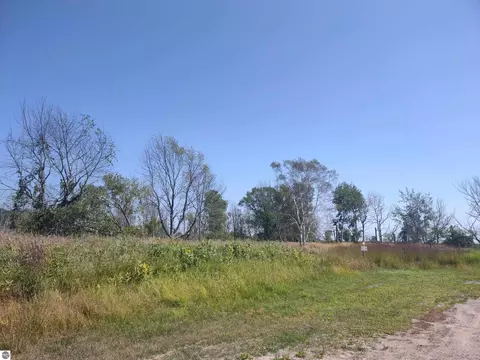 N/a Swenson Road, Au Gres, MI 48703 photo 5