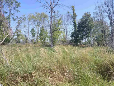 N/a Swenson Road, Au Gres, MI 48703 photo 2