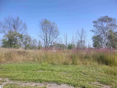 N/a Swenson Road, Au Gres, MI 48703 photo 6