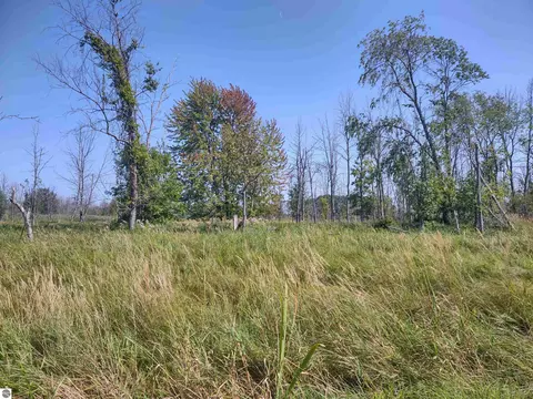 N/a Swenson Road, Au Gres, MI 48703