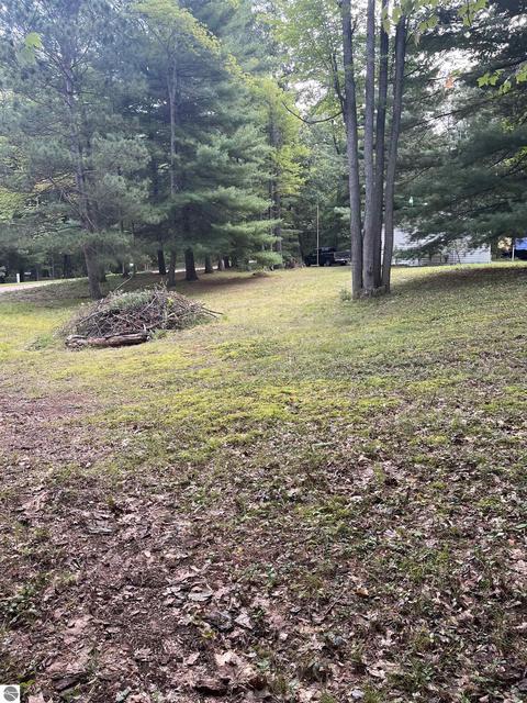 1181 Lavely Rd, Harrison, MI 48625 photo 37