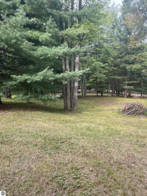1181 Lavely Rd, Harrison, MI 48625 photo 36