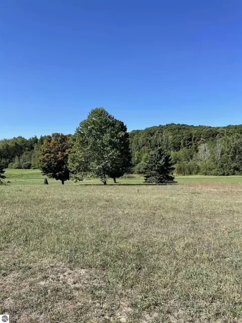 Fairway Court, Kewadin, MI 49648