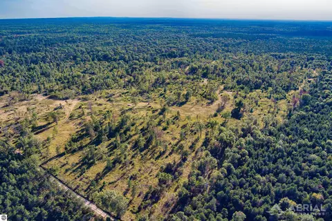 0 N Dow Rd, West Branch, MI 48661