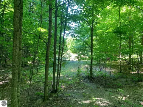 9870 E Keswick Hls, Suttons Bay, MI 49682