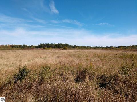 Parcel B Putnam Road, Hale, MI 48739
