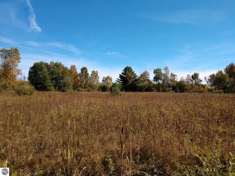 Parcel C Putnam Road, Hale, MI 48739