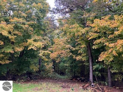 A W County Line Road, Buckley, MI 49643