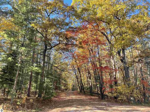Lot 2 Dockery Road #DOCKERY HILLS-WEST 2, Williamsburg, MI 49690