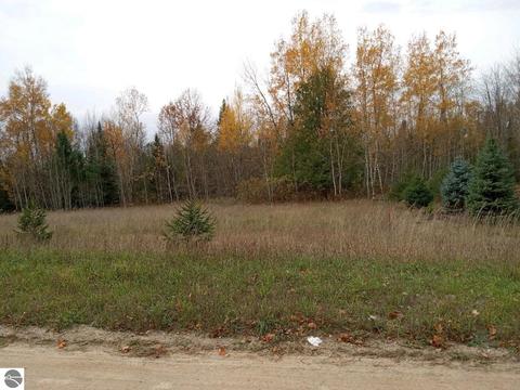 000 Bennett Rd #PARCEL B-1, Williamsburg, MI 49690