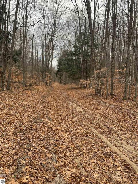 Near Stark Road, Mancelona, MI 49659