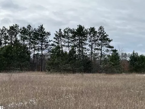 Lot C Red Cardinal Lane, Grawn, MI 49637