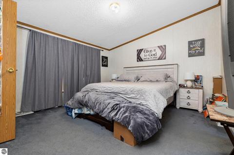 4433 Hamlin Rd, Grawn, MI 49637 photo 18