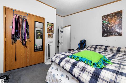 4433 Hamlin Rd, Grawn, MI 49637 photo 23