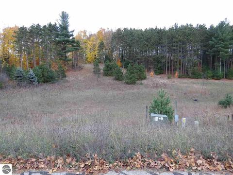 42 Pleasant Valley, Kingsley, MI 49649