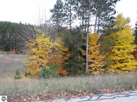 lot41 Pleasant Vly, Kingsley, MI 49649