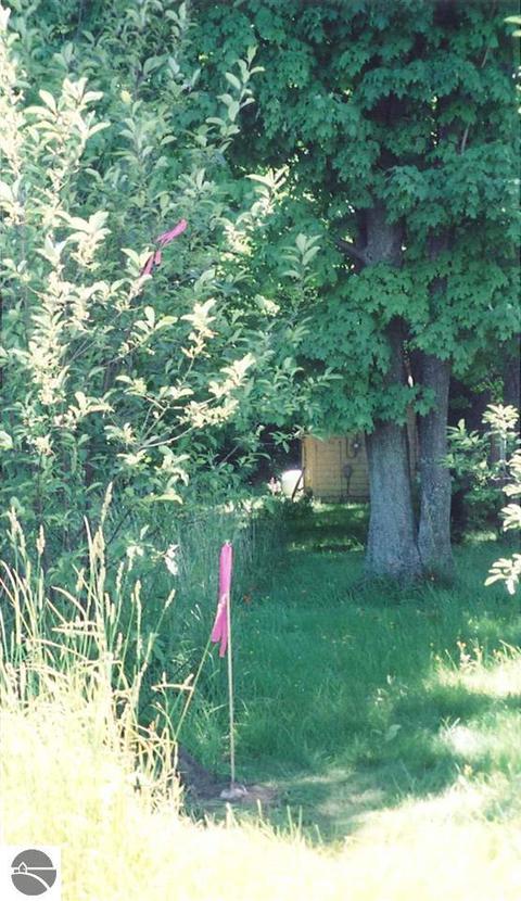 Lot 5 Meadow Brooke Lane, Kewadin, MI 49648