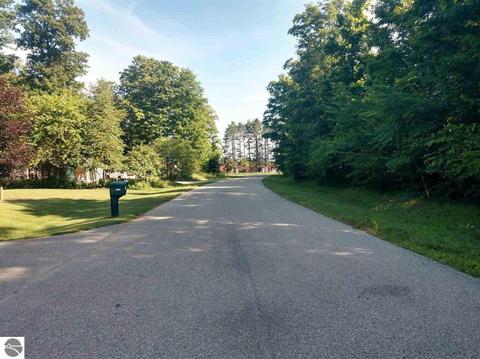 Lot 13 Lipp Farm Road, Benzonia, MI 49616