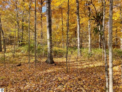 00 Lost Resort Dr, Buckley, MI 49620