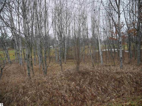 00 Linksview Way #LOT 222, Gladwin, MI 48624