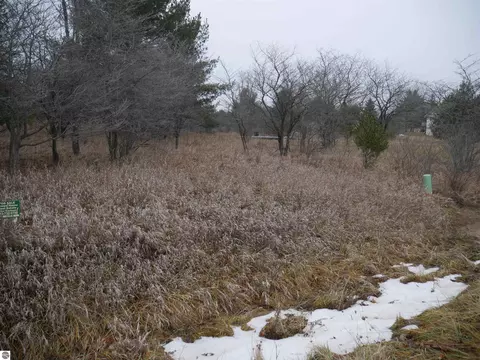 00 Linksview Way, Gladwin, MI 48624